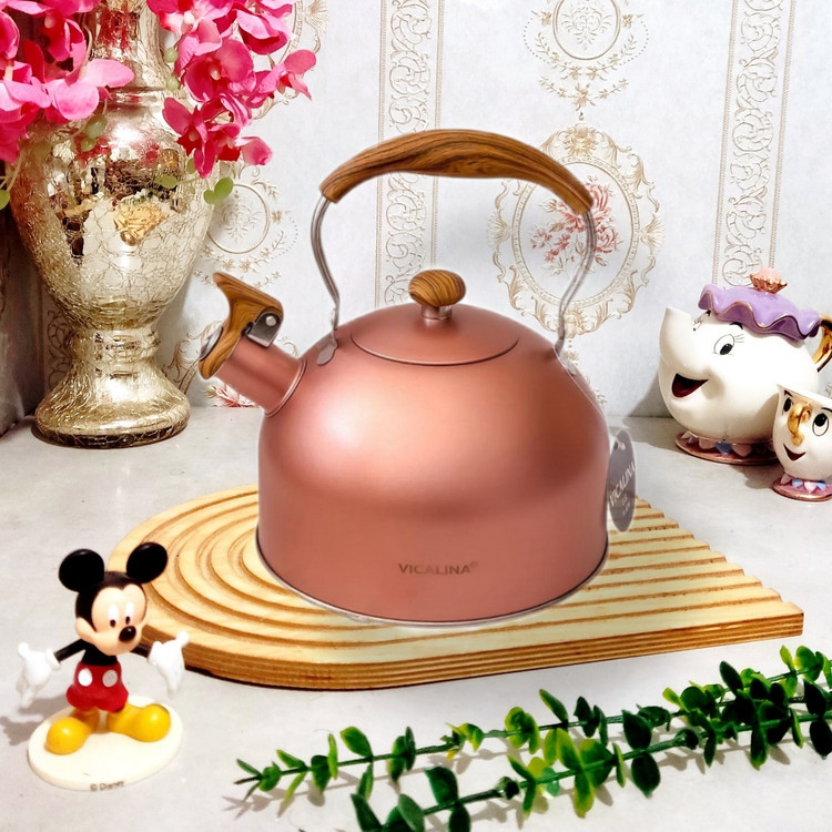 کتری وارداتی داخل استیل